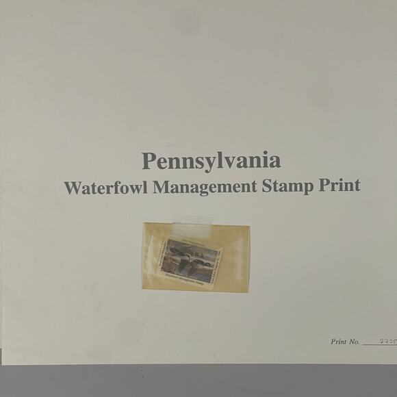 Pennsylvania Waterfowl Management Stamp Print Bufflehead Ducks 1995 #2235/7380 - Picture 2 of 4
